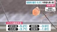 佐賀市川副で－5.2℃ 今季最低気温を観測 週末連休は雪降るところも【佐賀県】