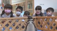 コロナ禍のこども園に 水族館がやってきた! 大分・日田市