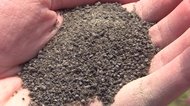 一般ごみから抽出できる新時代の肥料!環境にやさしく、農作物への効果も期待【岩手発】