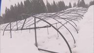 農家「恐らく全損で数百万…」先の大雪で完全に埋もれた農業用ハウス やっと一部の骨組み見えてくるも寒波再来へ
