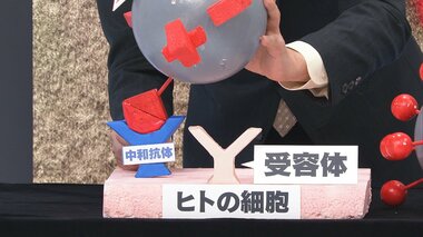 既存のワクチンが変異ウイルスに「90%以上で抗体」 発表した横浜市大教授が解説 “疑似ウイルスで検証”