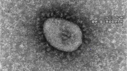 新型コロナワクチン　ファイザー･モデルナCEO 今後も定期接種必要との見方示す