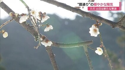 【立春】山陰地方は3月並みの暖かさ　7日から8日は強烈な“寒の戻り”　雪崩や警報級の大雪の恐れ