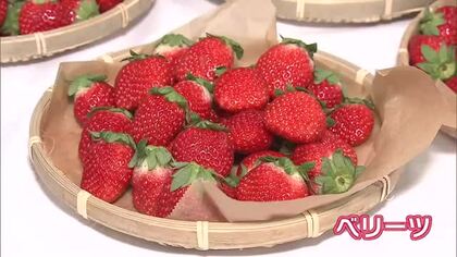 1箱最高27万円　大分県産ブランドイチゴ「ベリーツ」市場で旬入り宣言　クリスマスなど需要高まる