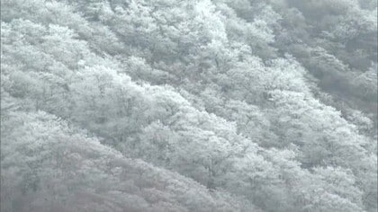 今季最強寒波…山陰の平地で初雪、積雪の恐れ　鳥取で最大30センチ降雪予想　路面凍結にも注意