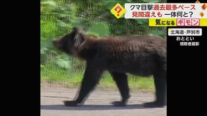 【過去最多ペース記録】クマ目撃件数16日までに411件　住宅街でも…「ゴミの管理徹底」など自治体が呼びかけ　北海道
