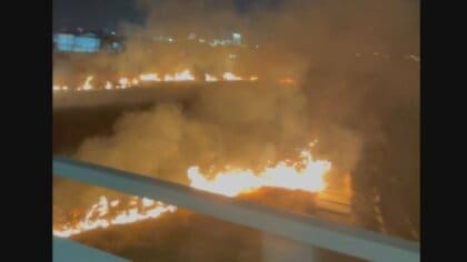 河川敷でBBQ　火をつけた新聞紙が枯草に…約1万平方メートル燃える火事　火が広がりやすい状況や対処法は