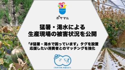 ポケットマルシェが記録的猛暑と渇水の影響を受けた生産者の調査結果を公開 生育不良を訴える声が多数、収穫量が例年の3分の1程度の生産者も
