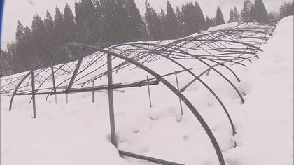 農家「恐らく全損で数百万…」先の大雪で完全に埋もれた農業用ハウス やっと一部の骨組み見えてくるも寒波再来へ
