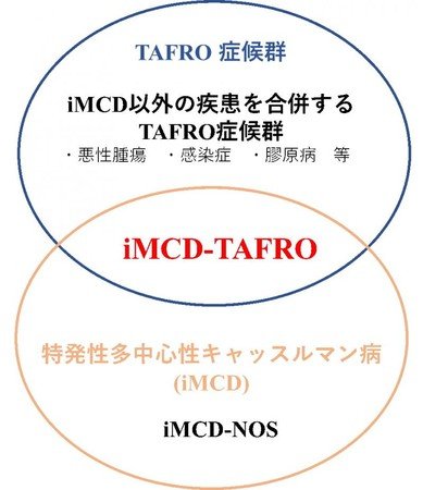 岡山大学 指定難病 特発性多中心性キャッスルマン病 の国際診断基準を確立