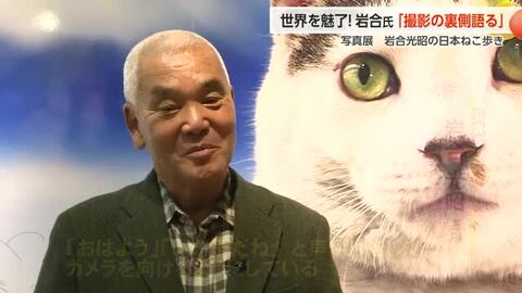 岩合光昭さんが半世紀以上にわたり撮影し続けた「日本ねこ歩き」写真展、富山大和で1月12日まで