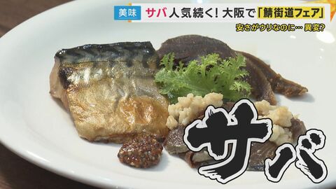 【サバショック】高級魚に？「漁獲量が10年で半減・仕入れ値も倍に」原因は「簡単に言うと取り過ぎ」と専門家“小さい時に取ってしまう”『成長乱獲』漁獲枠見直しで「回復できます」とも