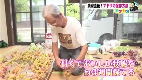 ブドウは“そのまま”冷蔵庫に入れないで！栽培農家が教える3週間長持ちの裏ワザ【高知】