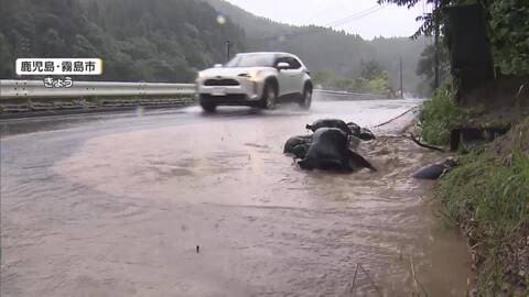 鹿児島・霧島市5歳男児不明から4日　激しい雨と土砂災害のおそれで本格的な捜索実施されず