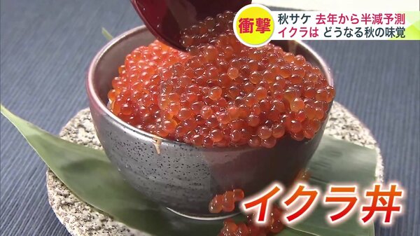 【秋の味覚がピンチ】“秋サケ”が激減の予測で北海道名産“イクラ”どうなる?―記録的不漁だった前年からさらに半減する見通し―漁業者も消費者も悲鳴 “魚離れ”心配する鮮魚店も 漁解禁は8月下旬|FNNプライムオンライン