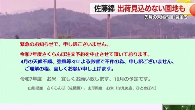 ネット注文の中止という苦渋の選択