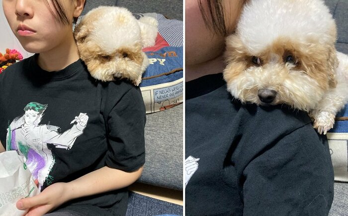 見てないフリをしながら狙っている