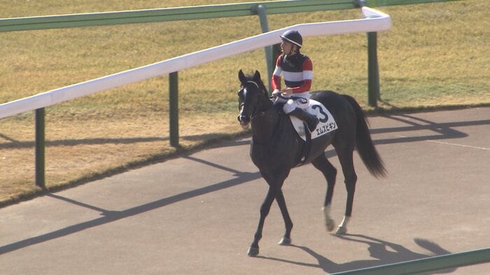 25年東京2歳未勝利を制したエムズビギン