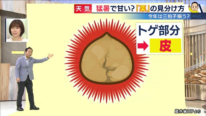 農水省HPより