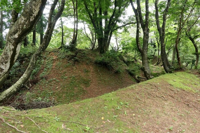 玄蕃尾城の最奥部にある曲輪。周囲を固める空堀がインパクト大