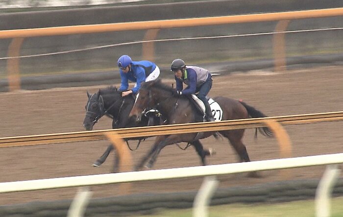 キラーアビリティ