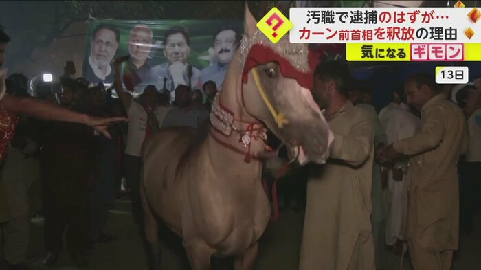 熱気に包まれる人々の様子に興奮する馬