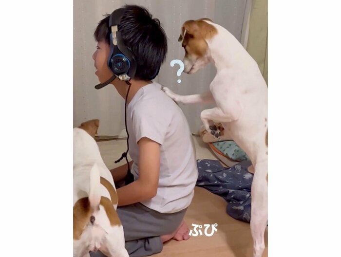 提供:あずもなさん