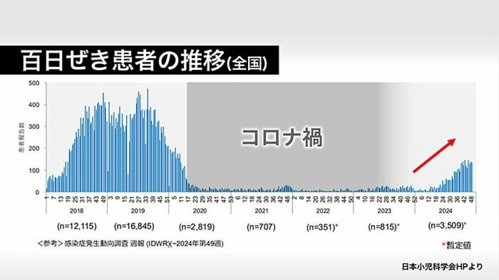 百日ぜき患者の推移(全国)※日本小児科学会HPより※