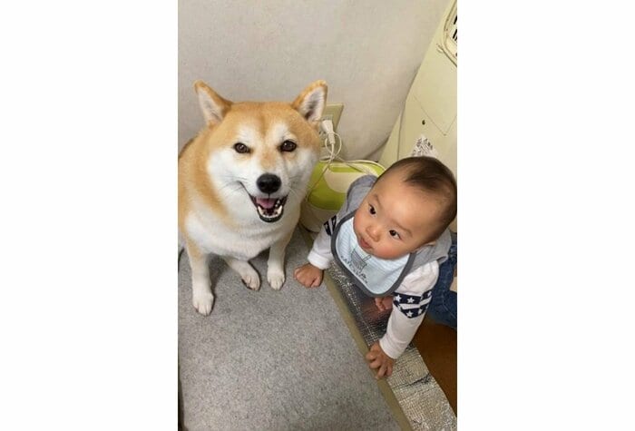 提供:yasumi.219さん