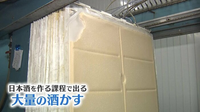日本酒を造る過程で出る大量の“酒かす”