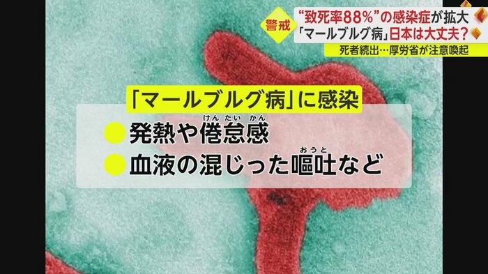 致死率は最高で88%と、極めて高い