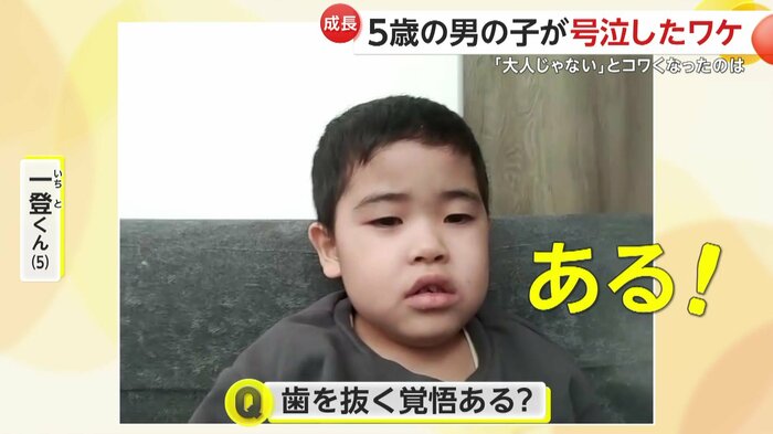 歯を抜くことには恐怖心がない様子の一登くん
