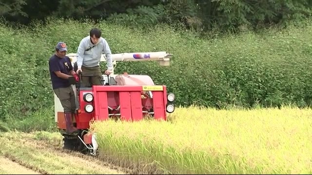 酒米の収穫始まる <岩手・雫石町>