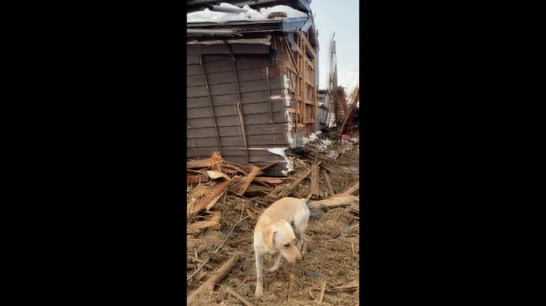 北海道から災害救助犬が被災地へ 雪の被災地でも諦めない 不明者捜索続ける「陸の孤島になる」北海道での災害に備えも｜FNNプライムオンライン
