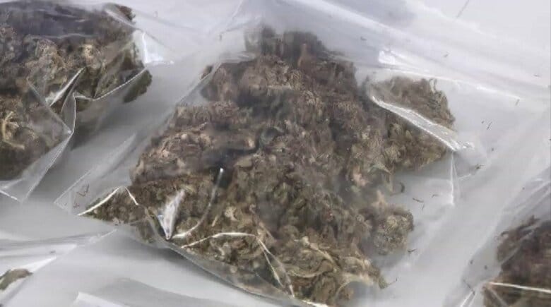 九電工改め「クラフティア」社員を“大麻密売”で逮捕　約300グラム郵送し販売した疑い　別の人物から入手して転売か　麻薬取締部｜FNNプライムオンライン