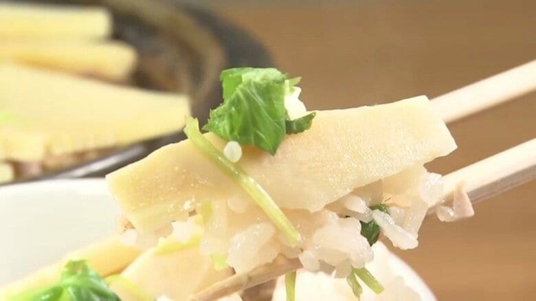 「目が飛び出るほど高い！」春の味覚・タケノコが“高級マグロ同等”に…生育不良で価格例年の3倍　“代打”オススメ食材は「きのこ」｜FNNプライムオンライン