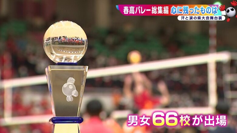 春高バレー舞台裏　涙をのんだ選手たちの心に残ったもの 　男子・一関修紅と女子・盛岡誠桜が全国大会へ【岩手発】｜FNNプライムオンライン