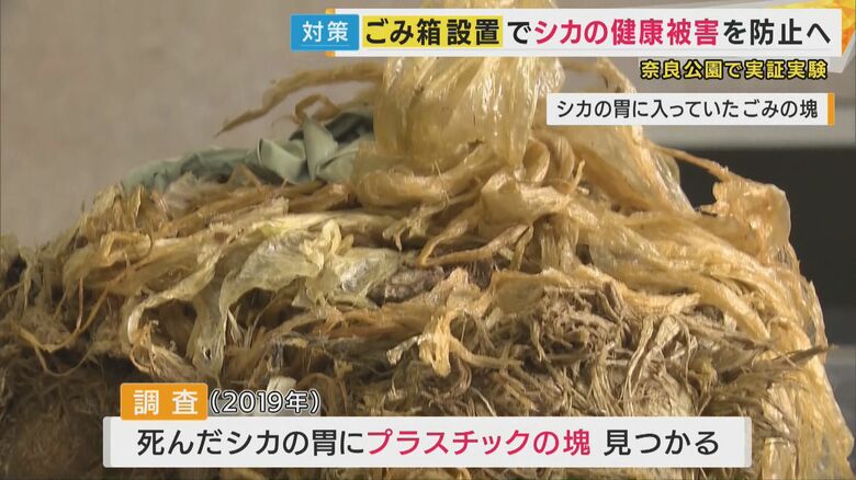 死んだシカの胃に“最大4.3キロ”のプラごみ　奈良公園「スマートごみ箱」設置でシカの健康被害防止へ｜FNNプライムオンライン