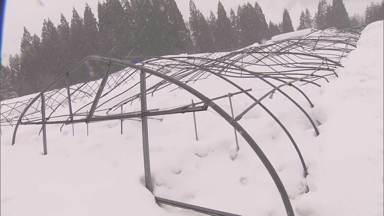 農家「恐らく全損で数百万…」先の大雪で完全に埋もれた農業用ハウス やっと一部の骨組み見えてくるも寒波再来へ｜FNNプライムオンライン