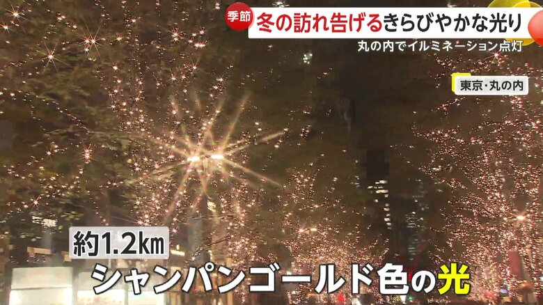 ロマンチックで幻想的なシャンパンゴールドの光に包まれていた丸の内の大通り