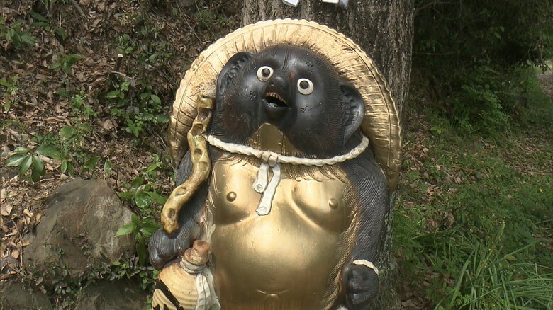 ゴールデンタヌキ