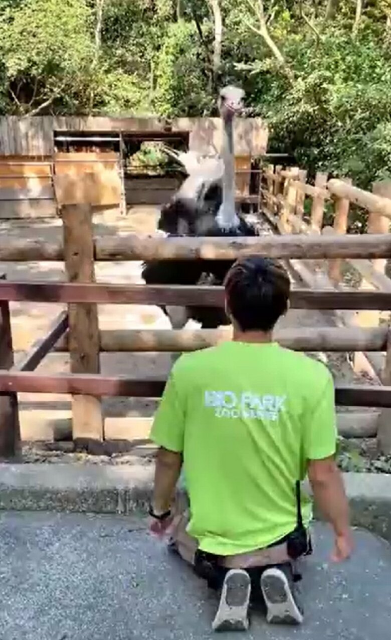 踊り返してくれるのか検証　1人目はキョウちゃんの前でしゃがみだして…