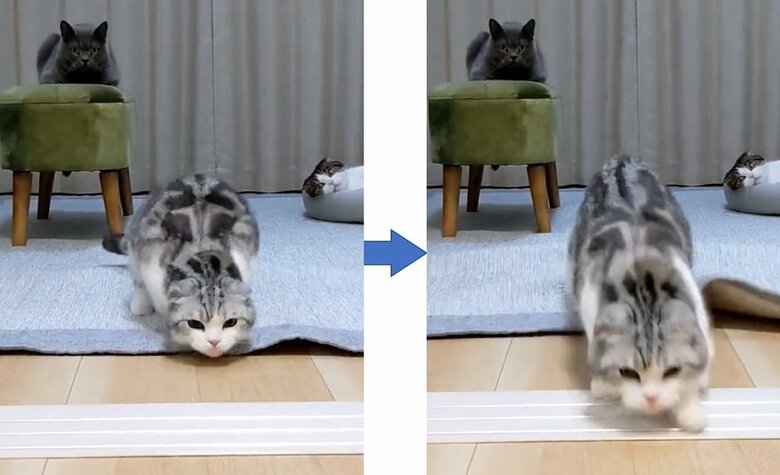 倫太郎くんの突進！