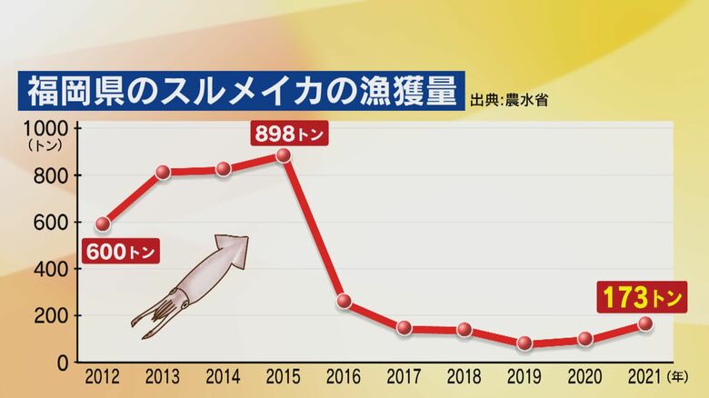 年々減少するスルメイカの漁獲量