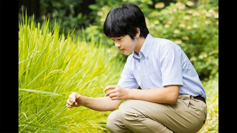 宮内庁提供･8月7日撮影