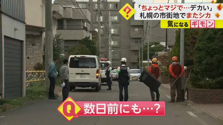16日、札幌市中央区で、出没したシカを捜索する警察官たち