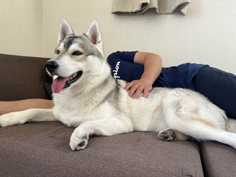 提供：ハスキーいちみちゃんと田舎暮らしさん