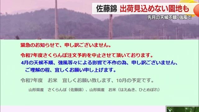 ネット注文の中止という苦渋の選択