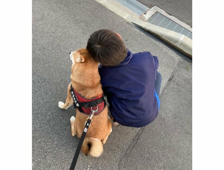 提供：豆柴大福　黒柴あんこさん