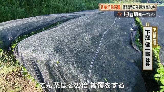 『バロン』とよばれるカバー